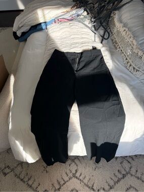 Aritzia Babton Pants